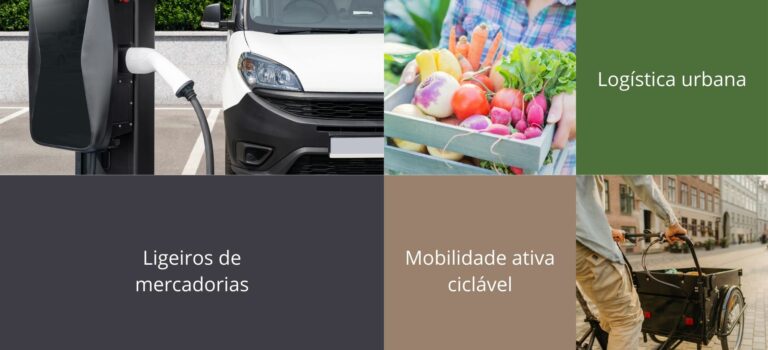 Introdução no consumo de veículos de emissões nulas no ano de 2024 – Mobilidade Verde Mercadorias